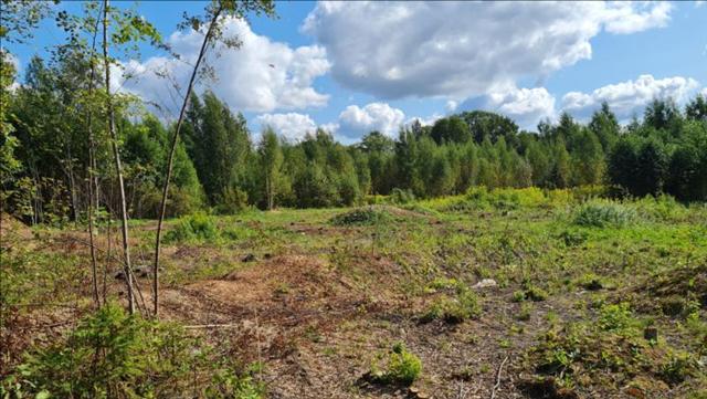 Продажа участка, Ленинградская область, Всеволожский р-н, Всеволожск